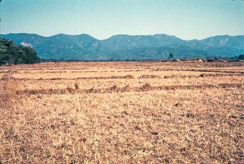 DNH_CS00346.jpg