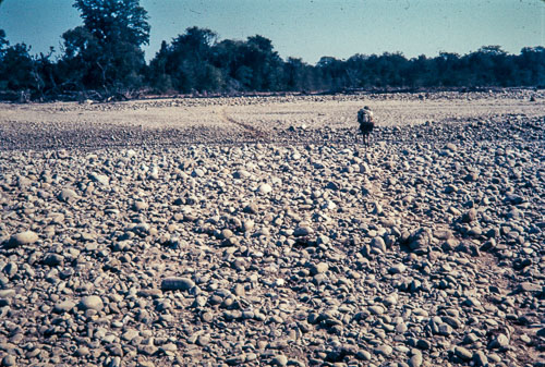 DNH_CS00348.jpg
