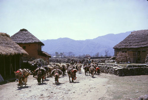 Nepal_Scan-130817-0066.jpg Nepal_Scan-130817-0066.jpg