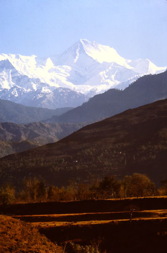 PICT0010.jpg