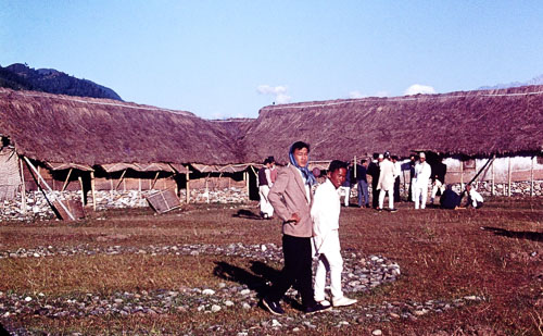 PICT0042.jpg
