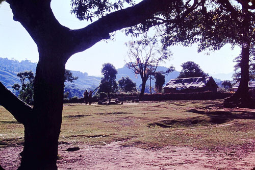 PICT0072.jpg PICT0072.jpg