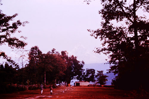 PICT0077.jpg PICT0077.jpg