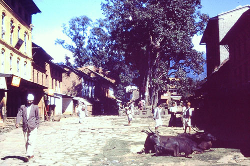 PICT0086.jpg