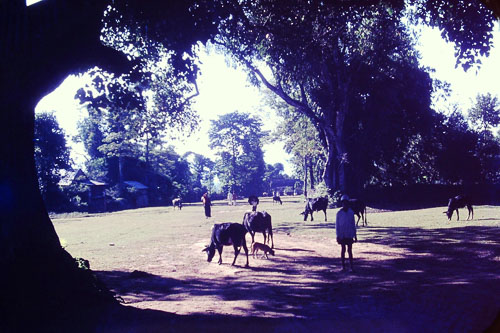 PICT0093.jpg
