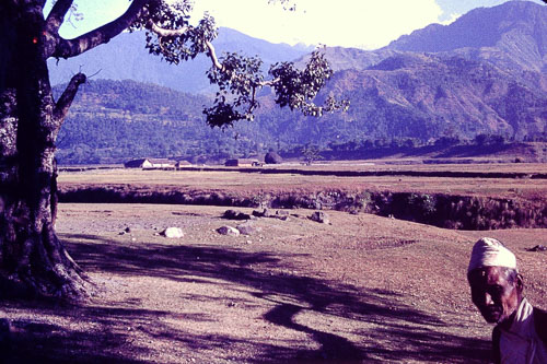 PICT0157.jpg