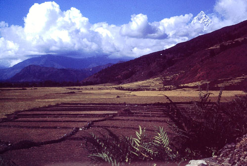 PICT0165.jpg