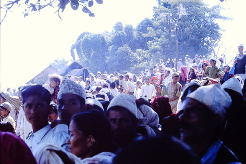 PICT0244.jpg