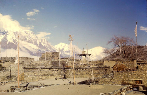 PICT0325_02.jpg