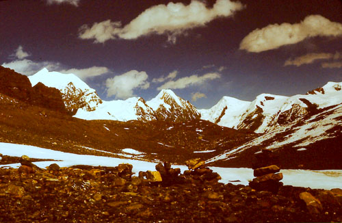 PICT0336.jpg