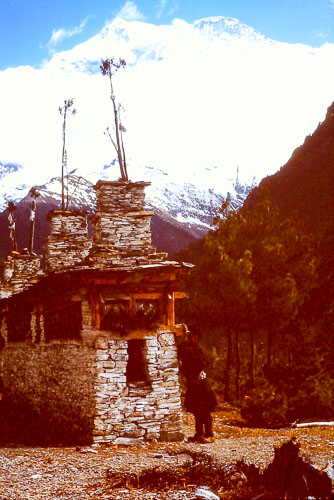 PICT0347.jpg