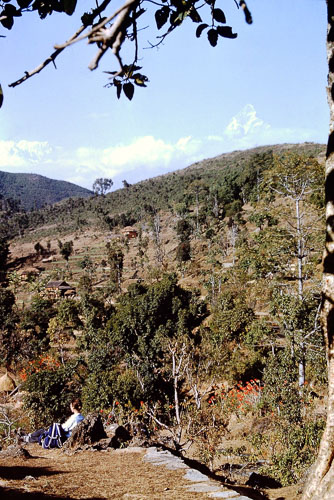 PICT0355.jpg
