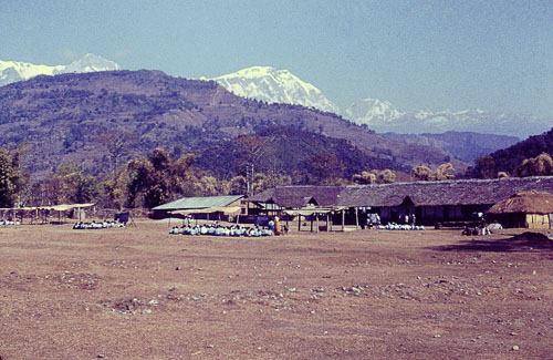 PICT0366.jpg