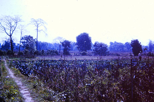 PICT2836.jpg PICT2836.jpg