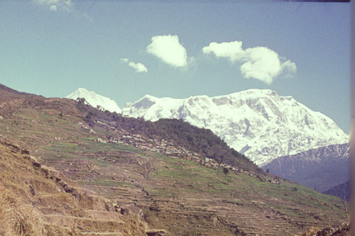DH-0010.jpg