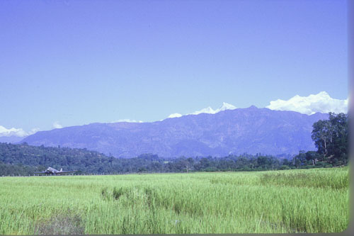 DH-0040.jpg