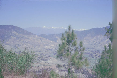 DH-0089.jpg