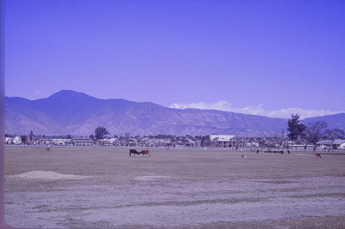 DH-0133.jpg