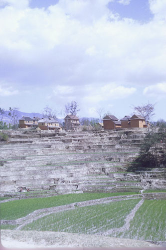 DH-0140.jpg