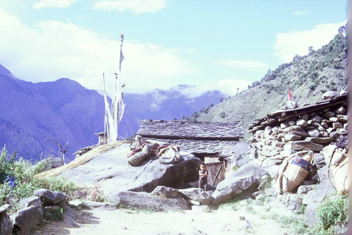 DH-0202.jpg