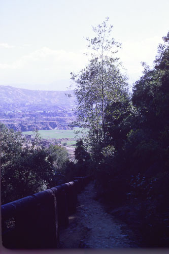 DH-0227.jpg