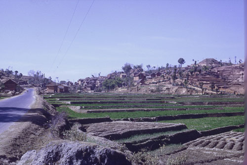 DH-0228.jpg
