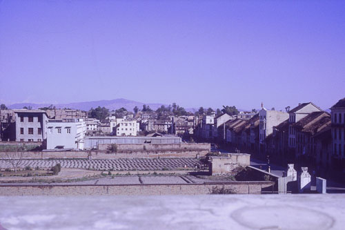 DH-0230.jpg