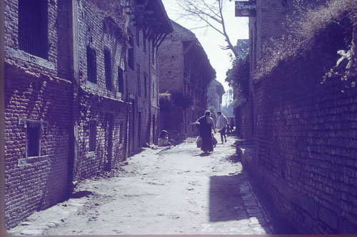 DH-0233.jpg