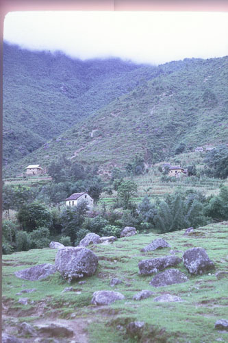 DH-0237.jpg