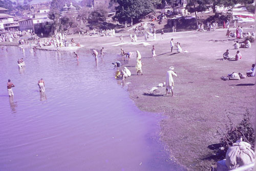 DH-0239.jpg