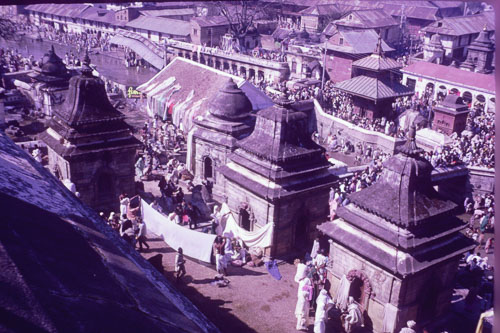 DH-0242.jpg