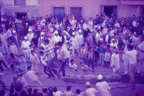 DH-0252.jpg