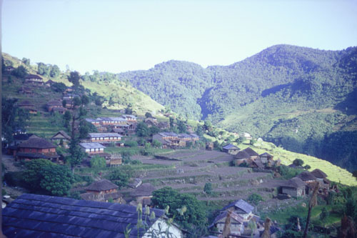 DH-0266.jpg DH-0266.jpg