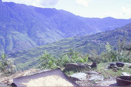 DH-0272.jpg DH-0272.jpg