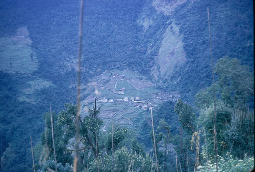 DH-0289.jpg