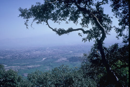 DH-0293.jpg