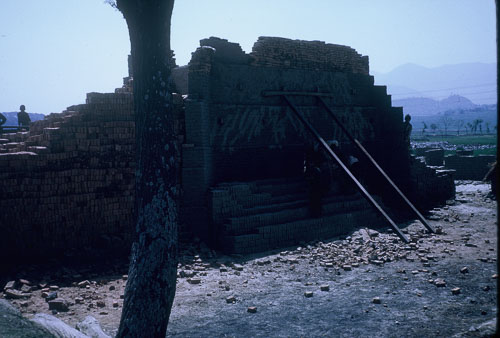 DH-0294.jpg