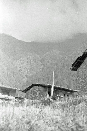 DH-0394.jpg DH-0394.jpg