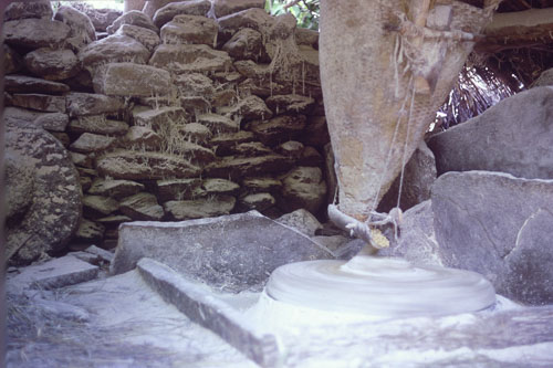DH-0411.jpg