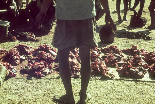 dividing_meat_copy.jpg dividing_meat_copy.jpg