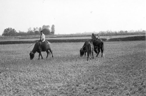 GO_017.jpg GO_017.jpg
