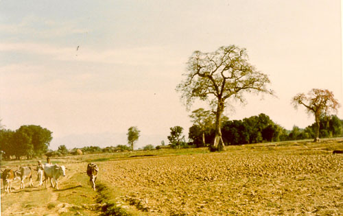 GO_031.jpg GO_031.jpg