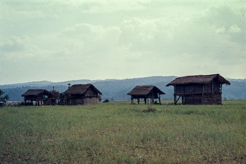 GO_CS0031.jpg GO_CS0031.jpg