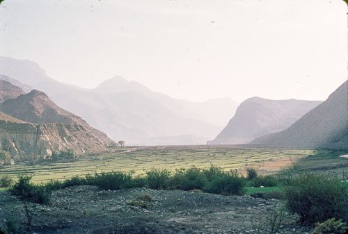 GO_FB0064.jpg GO_FB0064.jpg