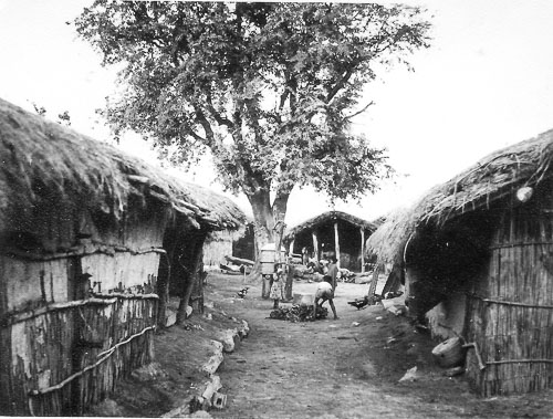 GS11-01.jpg