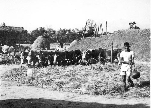GS11-02.jpg