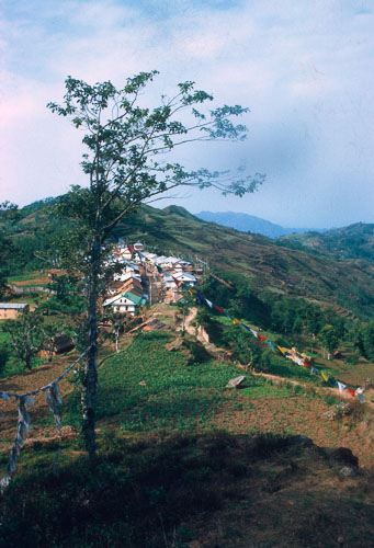 HL-0031.jpg