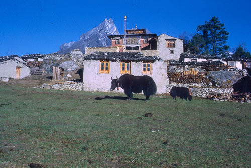 HL-0032.jpg