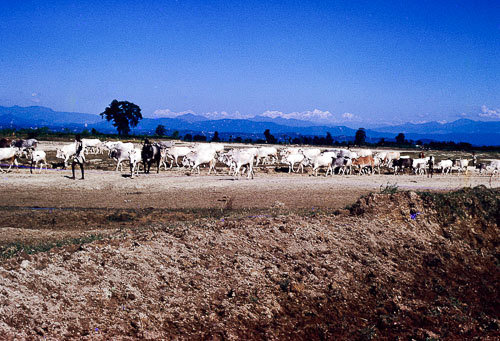 HL-0058.jpg
