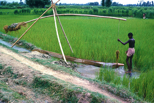 HL-0068.jpg